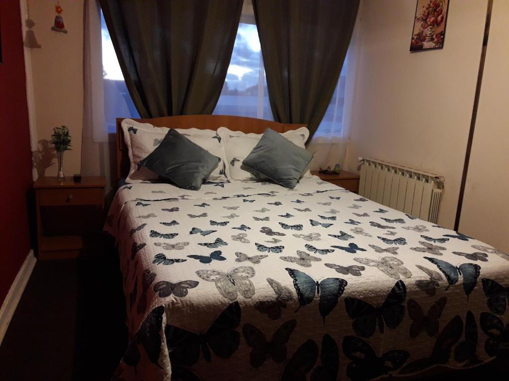 Hostal Torres Del Paine 2 بونتا أريناس المظهر الخارجي الصورة